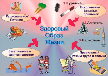 Викторина на тему «Здоровый образ жизни»: с ответами