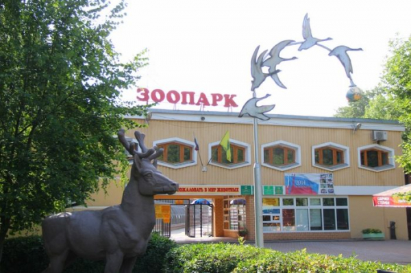 Куда сходить с ребенком в Липецке